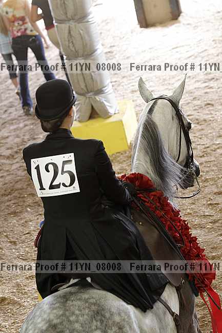 Proof Number 11yn_08008