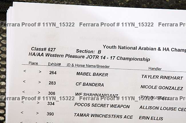 Proof Number 11yn_15322