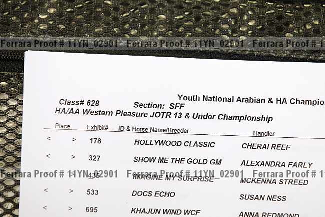 Proof Number 11yn_02901