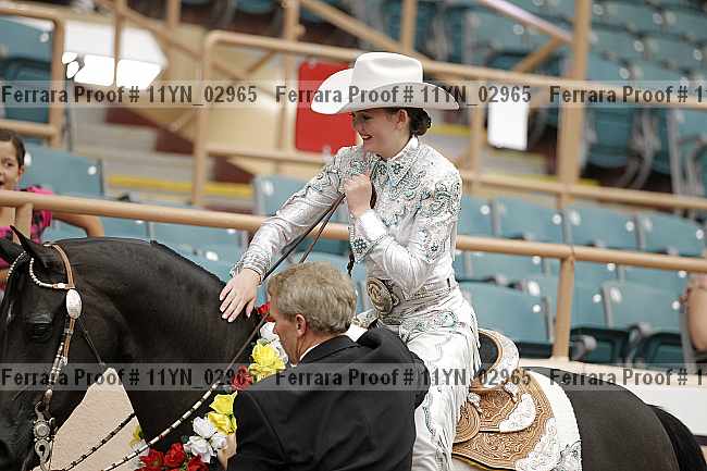 Proof Number 11yn_02965