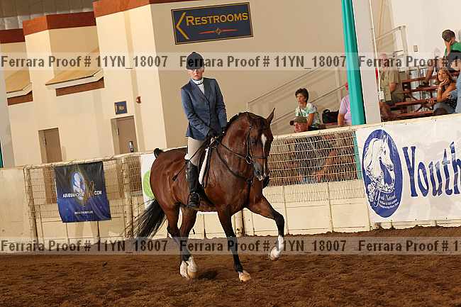 Proof Number 11yn_18007