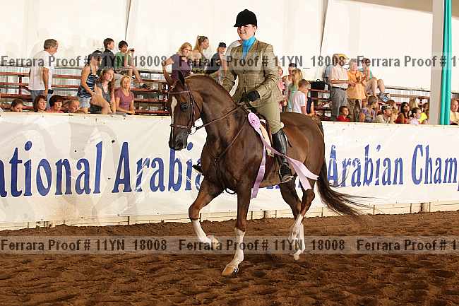 Proof Number 11yn_18008