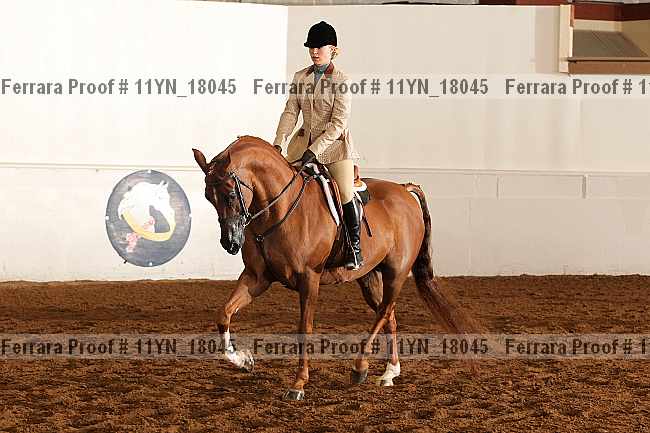 Proof Number 11yn_18045