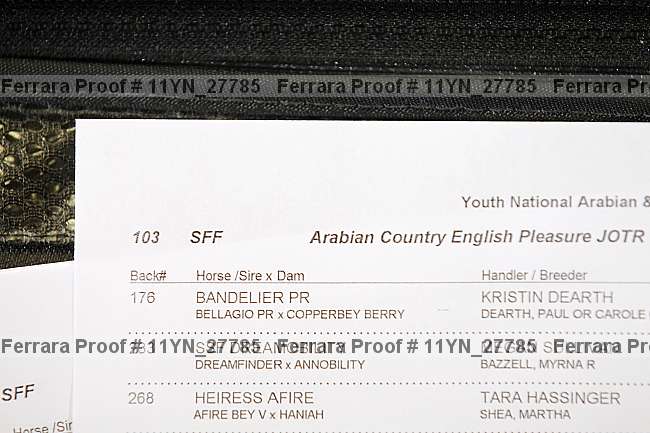 Proof Number 11yn_27785