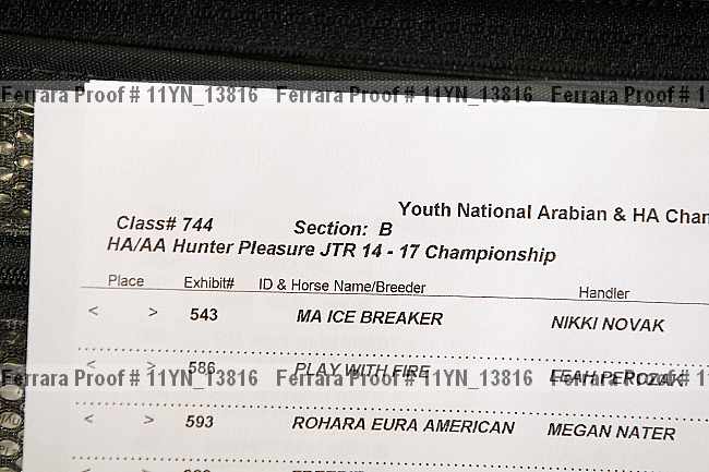 Proof Number 11yn_13816