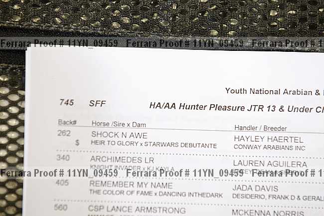 Proof Number 11yn_09459
