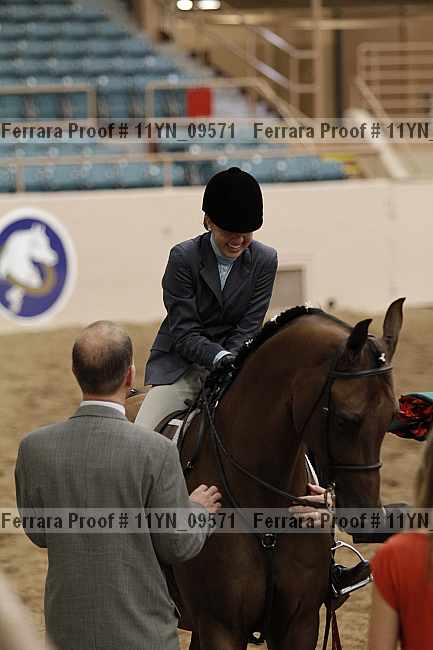Proof Number 11yn_09571