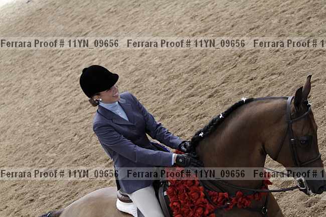Proof Number 11yn_09656