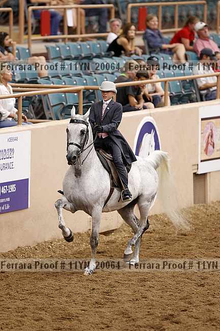 Proof Number 11yn_20064