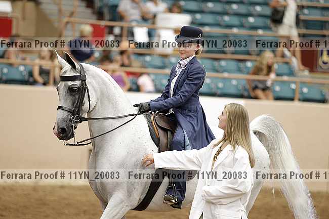 Proof Number 11yn_20083