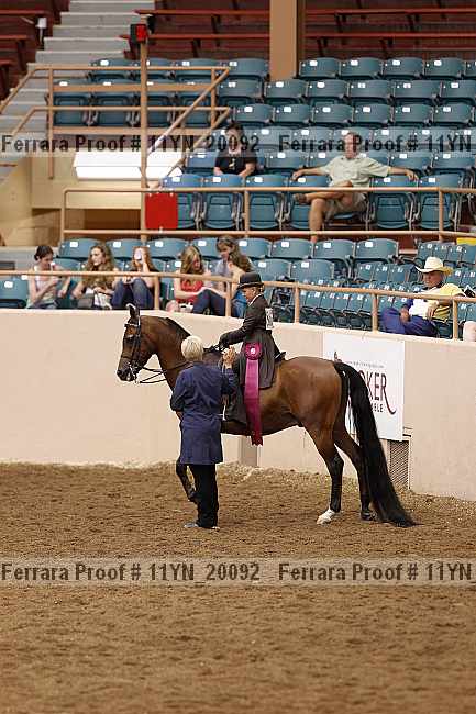 Proof Number 11yn_20092