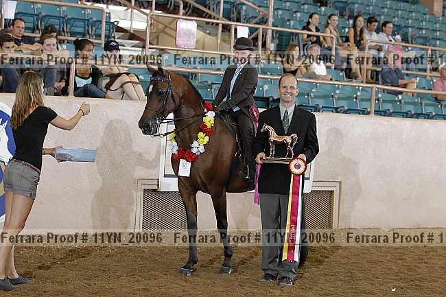 Proof Number 11yn_20096