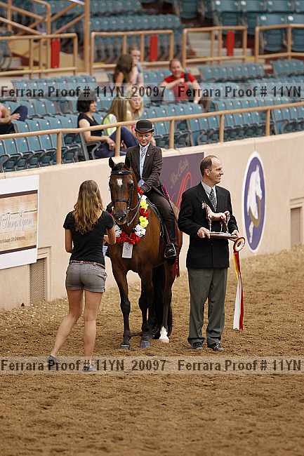 Proof Number 11yn_20097