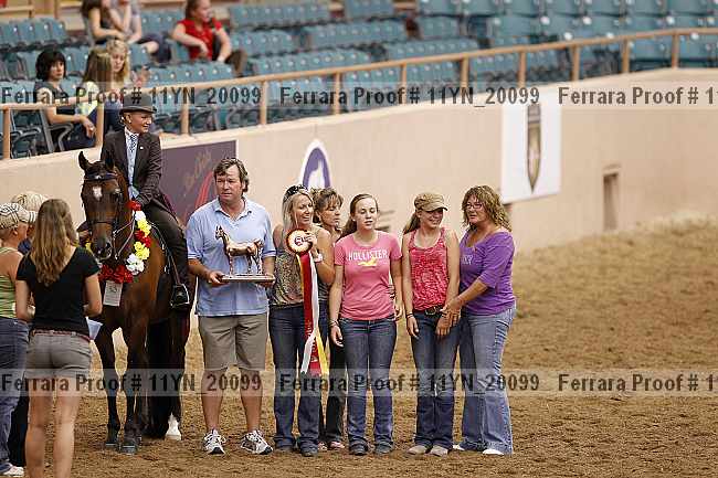 Proof Number 11yn_20099