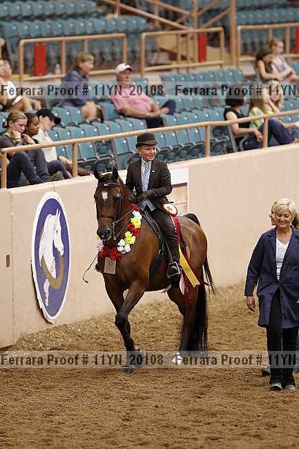 Proof Number 11yn_20108