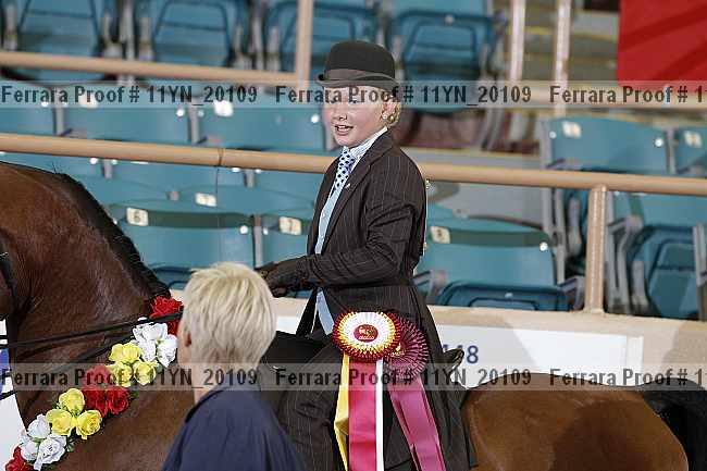 Proof Number 11yn_20109