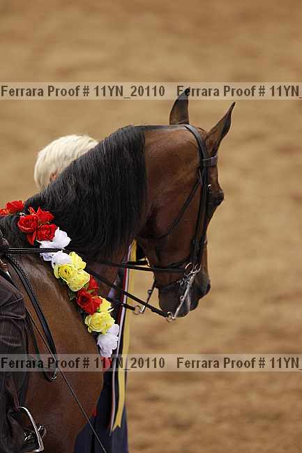 Proof Number 11yn_20110