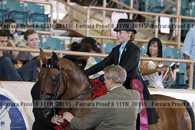 Proof Number 11yn_20115