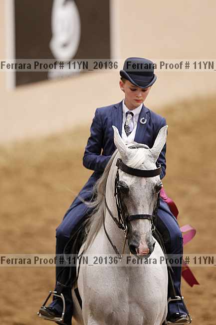 Proof Number 11yn_20136
