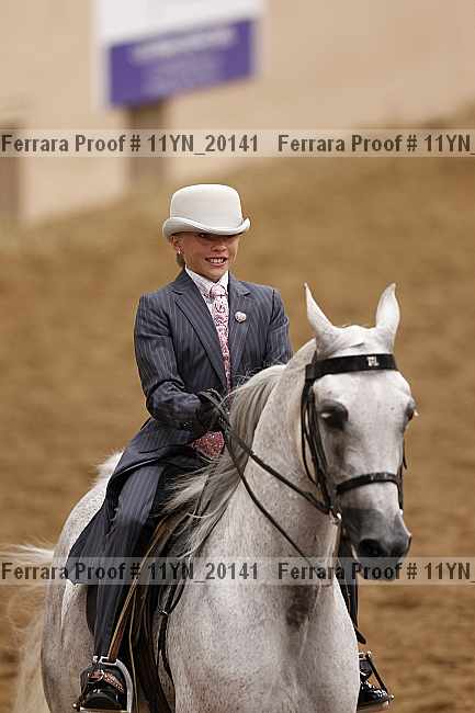 Proof Number 11yn_20141