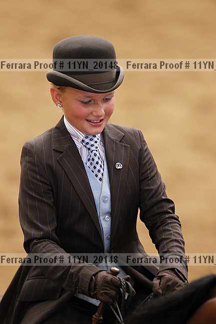 Proof Number 11yn_20148