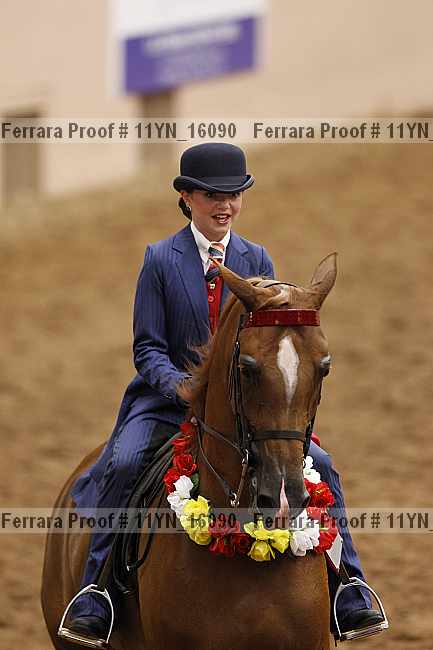 Proof Number 11yn_16090