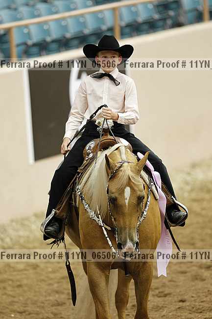 Proof Number 11yn_06506