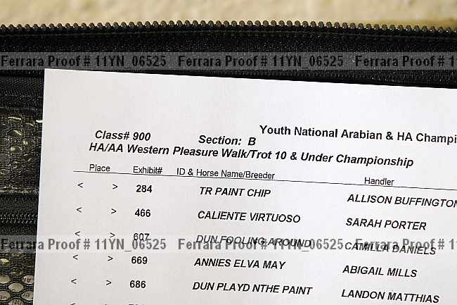 Proof Number 11yn_06525