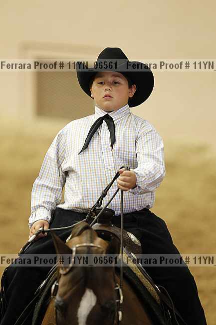 Proof Number 11yn_06561