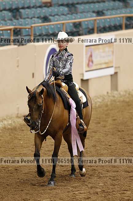 Proof Number 11yn_06590