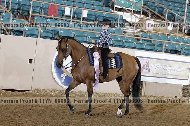 Proof Number 11yn_06603