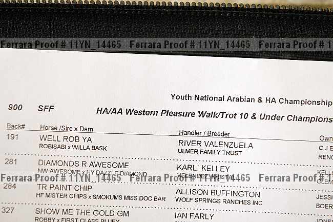 Proof Number 11yn_14465