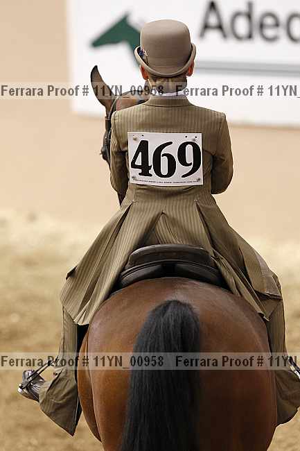Proof Number 11yn_00958