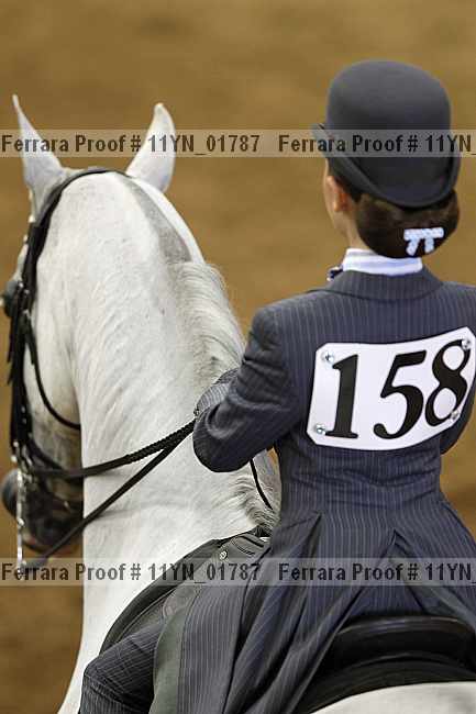 Proof Number 11yn_01787