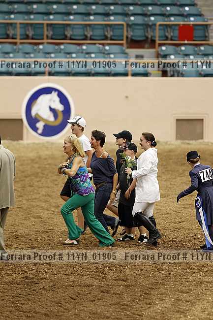 Proof Number 11yn_01905