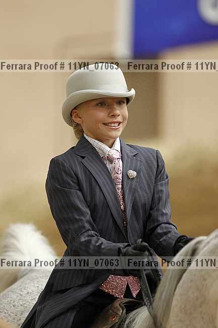 Proof Number 11yn_07063