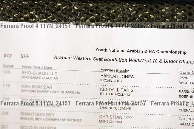 Proof Number 11yn_24157