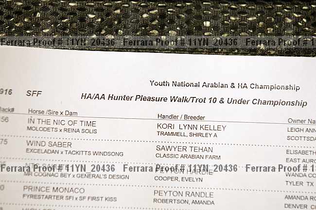 Proof Number 11yn_20436