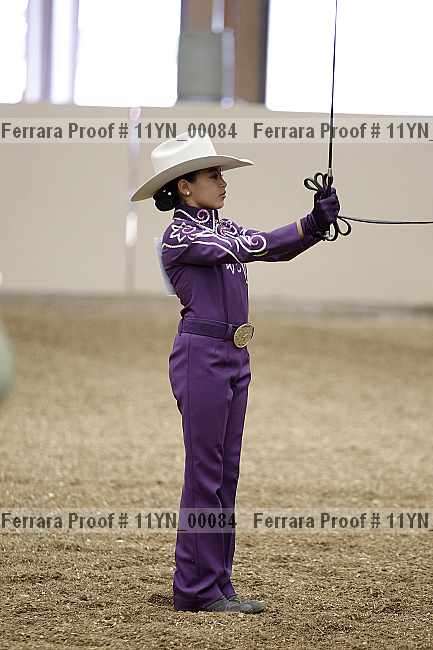 Proof Number 11yn_00084