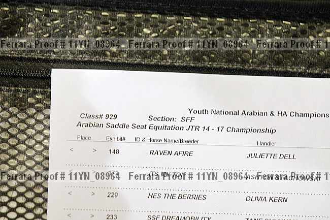 Proof Number 11yn_08964