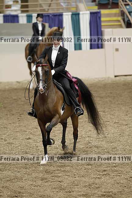 Proof Number 11yn_09082