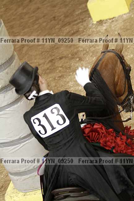 Proof Number 11yn_09250