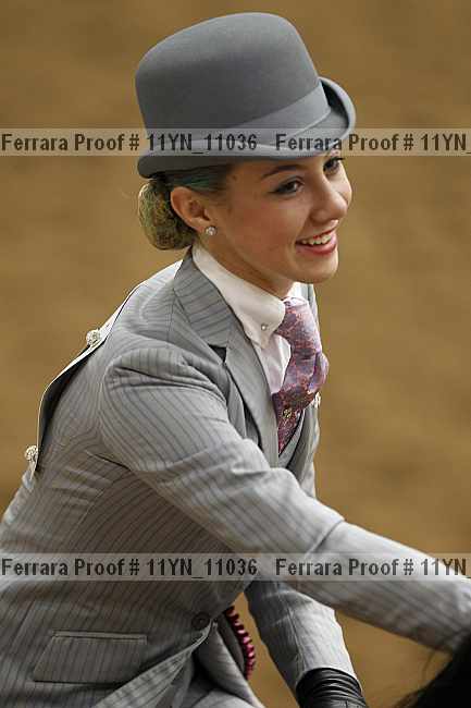 Proof Number 11yn_11036
