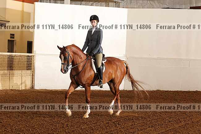 Proof Number 11yn_14806
