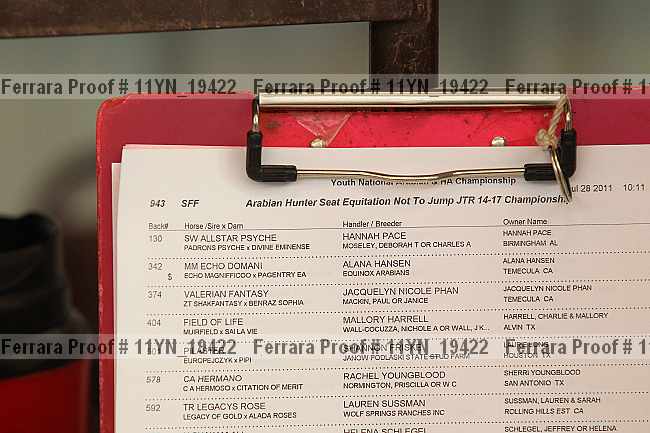 Proof Number 11yn_19422