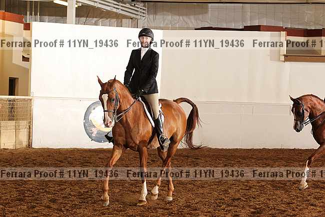 Proof Number 11yn_19436