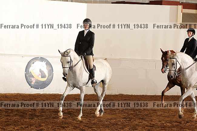 Proof Number 11yn_19438