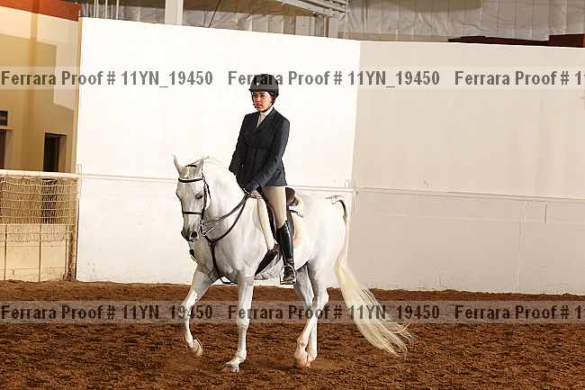 Proof Number 11yn_19450