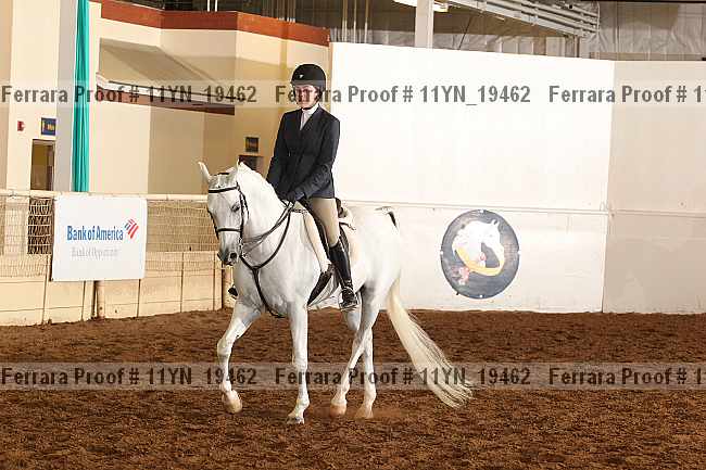 Proof Number 11yn_19462