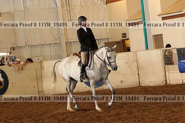 Proof Number 11yn_19491